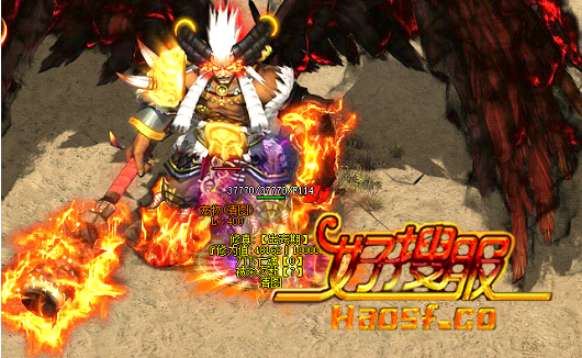 光明天使闪耀登场,宠物大赛更精彩