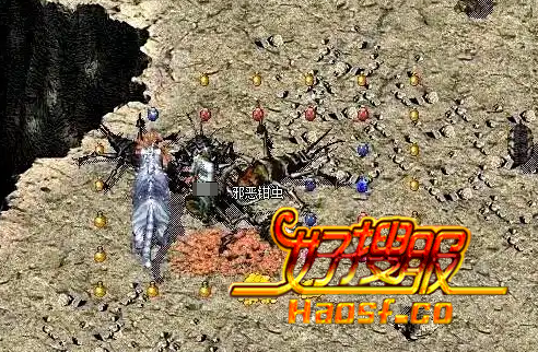 揭秘宠物与装备精炼的无限魅力